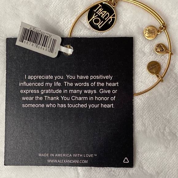 Alex and Ani Jewelry - Alex and Ani Thank you + Energy Bracelet